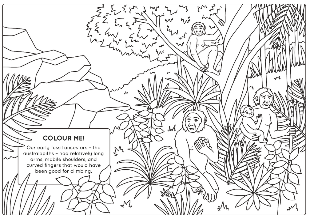 Human evolution activity book Page 1