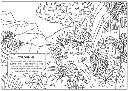 Human evolution activity book Page 1