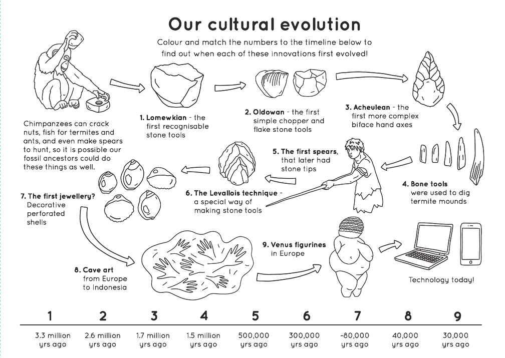 Human evolution activity book Page 10