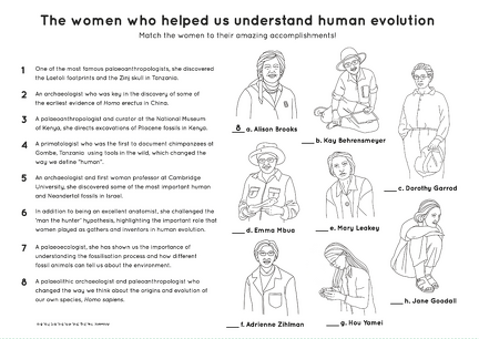 Human evolution activity book Page 11