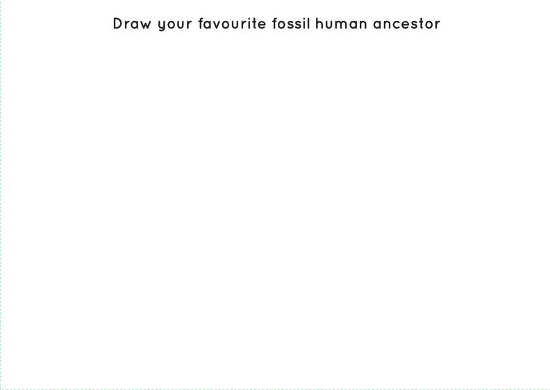 Human evolution activity book Page 13