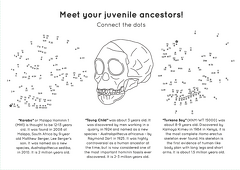 Human evolution activity book Page 3