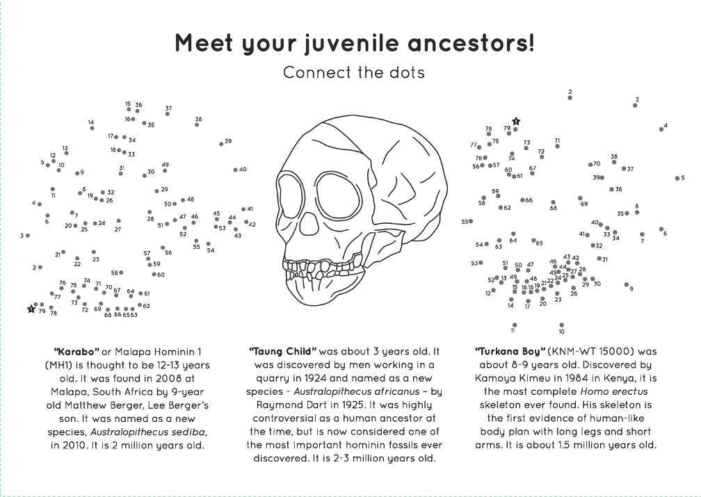 Human evolution activity book Page 3