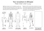 Human evolution activity book Page 4