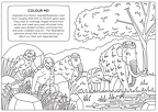 Human evolution activity book Page 5