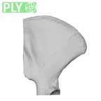 NH MER32 720 Gorilla gorilla gorilla os coxae right ply