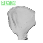NH MER32 720 Gorilla gorilla gorilla os coxae right ply
