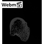 NH CAM1 106 Gorilla gorilla gorilla calcaneus left ct stack movie
