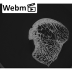 NH CAM1 107 Gorilla gorilla gorilla calcaneus right ct stack movie
