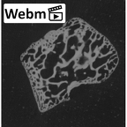 NH CAM1 14 Gorilla gorilla gorilla intermediate cuneiform right ct stack movie
