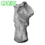 NH FC 123 Gorilla gorilla gorilla calcaneus left ply