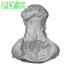 NH FC 123 Gorilla gorilla gorilla foot phalanx fifth distal left ply