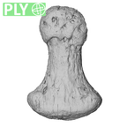 NH FC 123 Gorilla gorilla gorilla foot phalanx first distal left ply