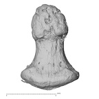 foot phalanx fourth distal left
