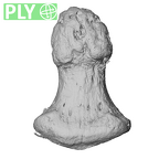 NH FC 123 Gorilla gorilla gorilla foot phalanx fourth distal left ply