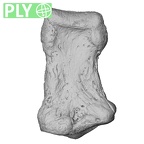 NH FC 123 Gorilla gorilla gorilla foot phalanx fourth middle left ply