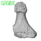 NH FC 123 Gorilla gorilla gorilla foot phalanx second distal left ply