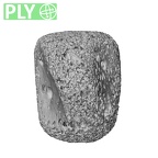 NH MER35 117 Gorilla gorilla gorilla cuneiform ply