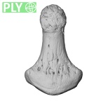 NH CAM1 230 Gorilla gorilla gorilla hand phalanx fifth distal left ply