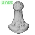 NH CAM1 230 Gorilla gorilla gorilla hand phalanx fourth distal left ply