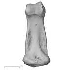 NH CAM1 230