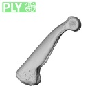NH CAM1 230 Gorilla gorilla gorilla hand phalanx fourth proximal left ply
