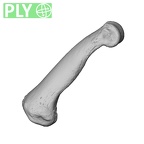 NH CAM1 230 Gorilla gorilla gorilla hand phalanx second proximal left ply