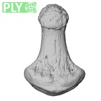 NH CAM1 230 Gorilla gorilla gorilla hand phalanx third distal left ply