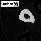 NH CAM1 230 Gorilla gorilla gorilla metacarpal fifth left ct stack movie