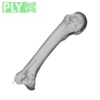 NH CAM1 230 Gorilla gorilla gorilla metacarpal third left ply