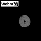 NH MER30 29 Gorilla gorilla gorilla hand phalanx first distal right ct stack movie