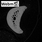 NH MER30 29 Gorilla gorilla gorilla hand phalanx fourth proximal right ct stack movie