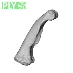 NH MER30 29 Gorilla gorilla gorilla hand phalanx fourth proximal right ply