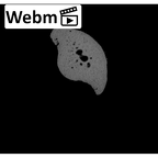 NH MER30 29 Gorilla gorilla gorilla hand phalanx second middle right ct stack movie