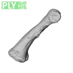 NH MER30 29 Gorilla gorilla gorilla hand phalanx second proximal right ply