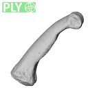 NH MER30 29 Gorilla gorilla gorilla hand phalanx third proximal right ply