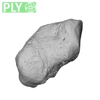 NH MER30 29 Gorilla gorilla gorilla pisiform left ply
