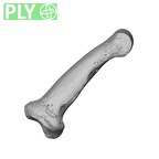 NH MER32 300 Gorilla gorilla gorilla hand phalanx fourth middle right ply