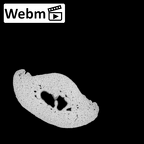 NH MER32 300 Gorilla gorilla gorilla hand phalanx second middle right ct stack movie