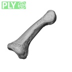 NH MER32 300 Gorilla gorilla gorilla hand phalanx second middle right ply