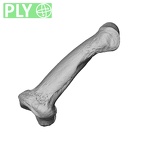 NH MER32 300 Gorilla gorilla gorilla hand phalanx third middle right ply