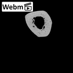 NH MER32 300 Gorilla gorilla gorilla metacarpal fourth right ct stack movie