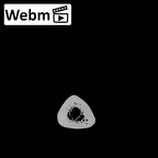 NH MER32 300 Gorilla gorilla gorilla metacarpal second right ct stack movie