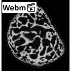 NH MER32 333 Gorilla gorilla ssp. carpal ct stack movie