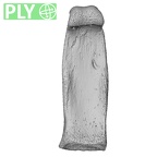 NH MER32 333 Gorilla gorilla ssp. hand phalanx fourth proximal left ply