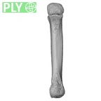 NH MER32 333 Gorilla gorilla ssp. metacarpal second left ply