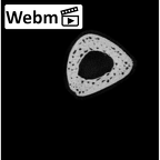 NH MER32 333 Gorilla gorilla ssp. metacarpal third left ct stack movie