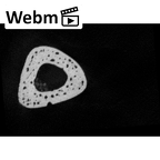 NH MER32 333 Gorilla gorilla ssp. metacarpal third left metaphysis ct stack movie