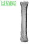 NH MER32 333 Gorilla gorilla ssp. metacarpal third left metaphysis ply