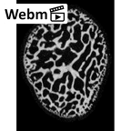 NH MER32 333 Gorilla gorilla ssp. scaphoid ct stack movie